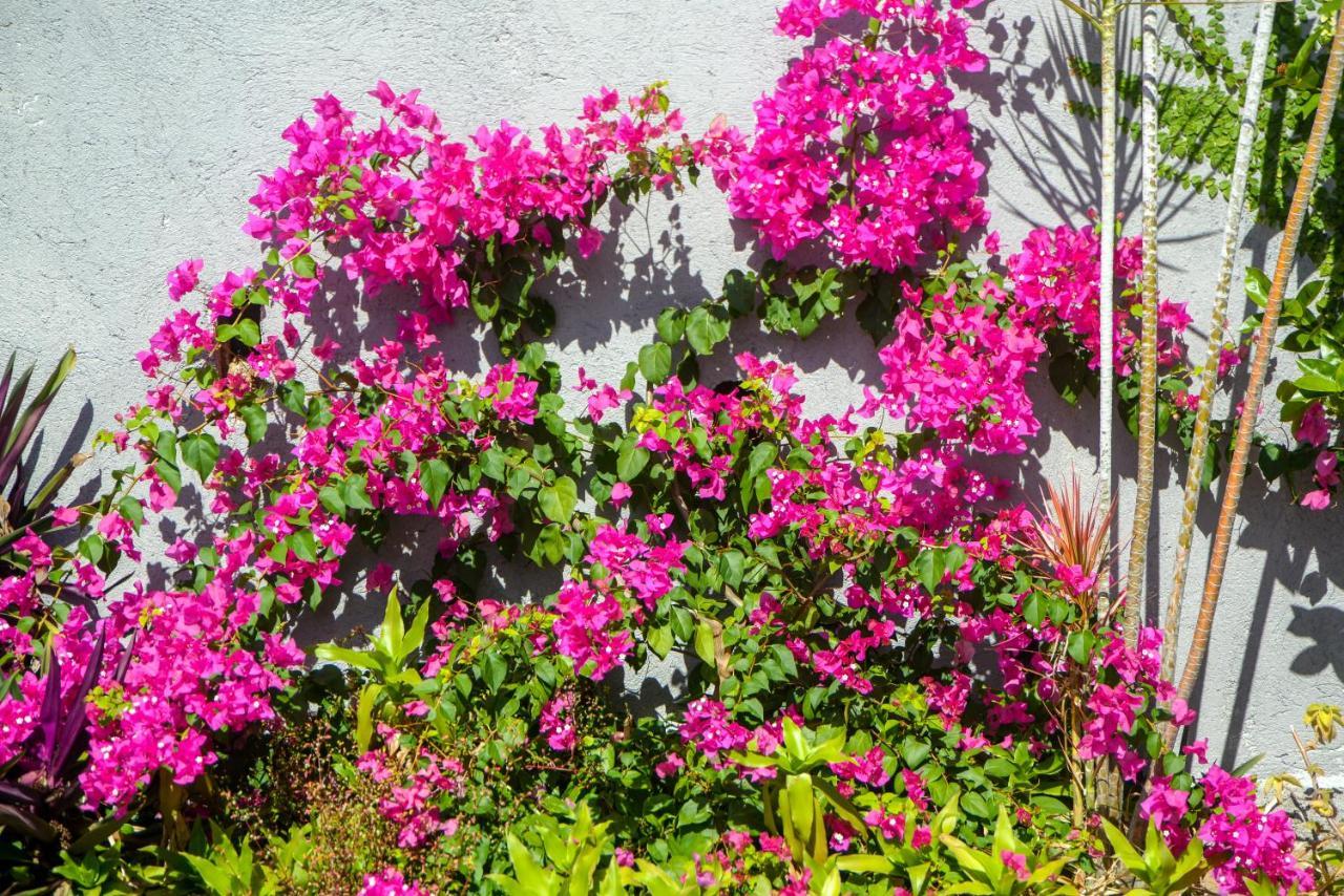 Deluxe Queen Studio,1343520662:JPEG