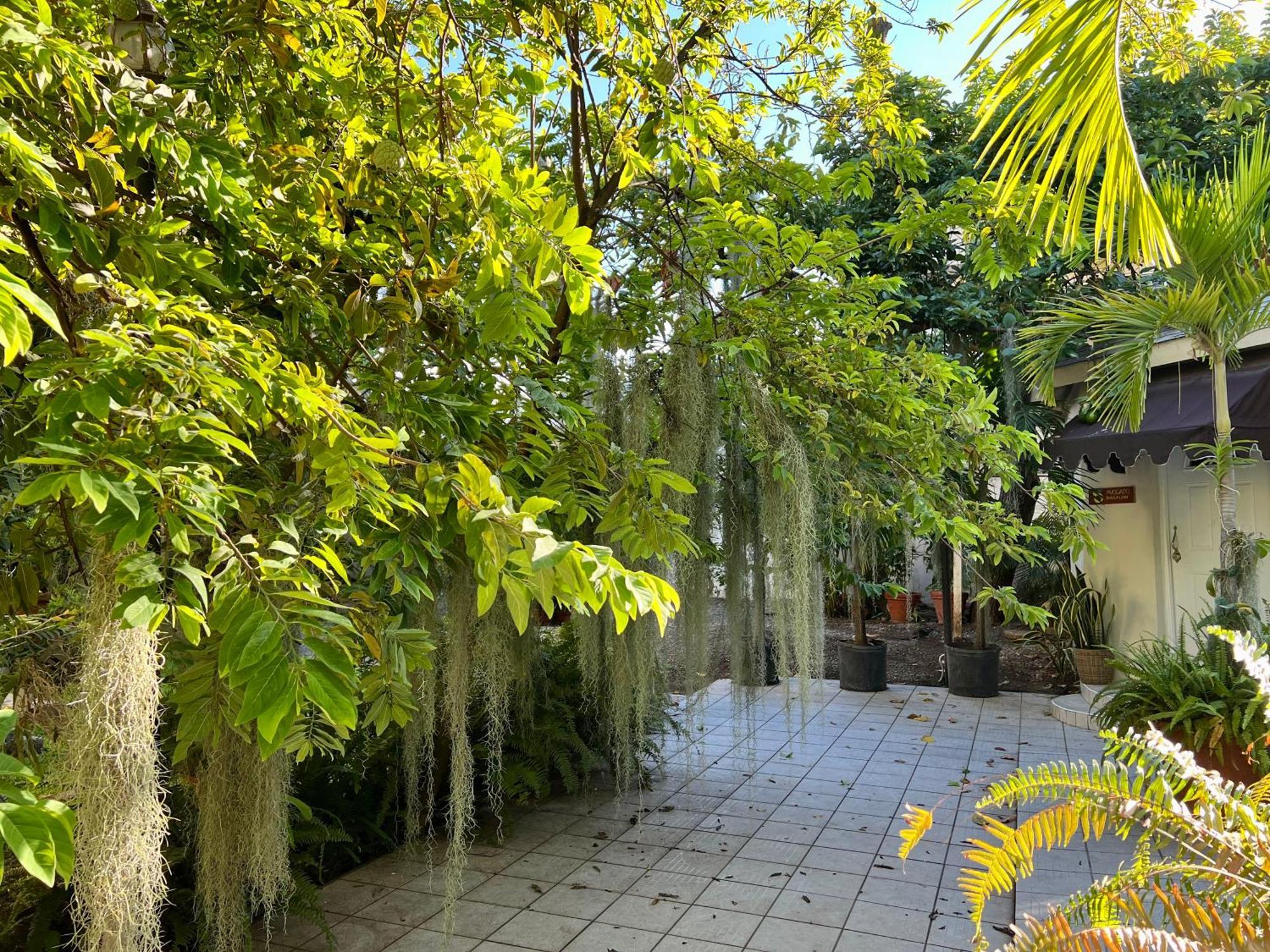 Deluxe Bungalow with Garden View,1546828000:JPEG