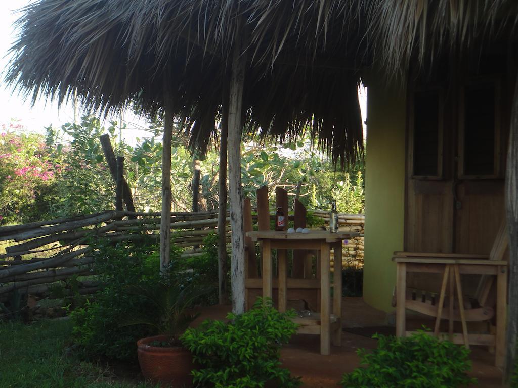 Twin Room with Garden View