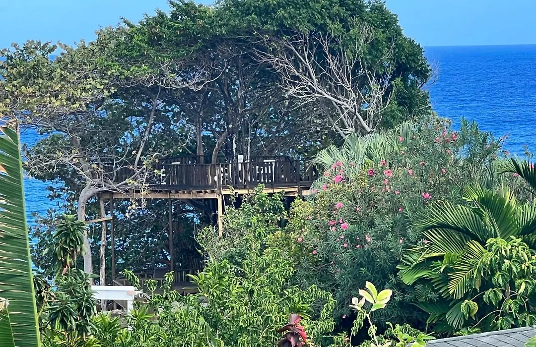 Jamaica Colors Hotel And Eco-Retreat-1