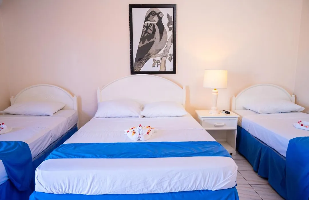 Shields Negril Villas-1