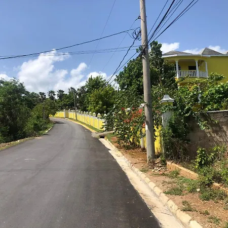 Pura Vida Jamaica-2