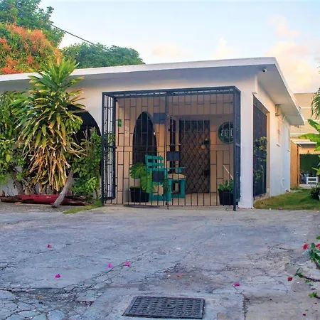 Eventuality B&B New Kingston-3