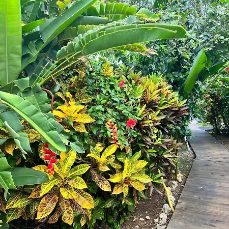 Jamaica Colors Hotel And Eco-Retreat-3