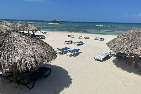 Hospitality Expert Jagger - Tour Pool Bar Beach-2