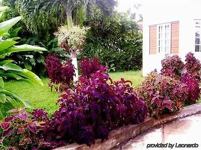 Freedom Palace-3