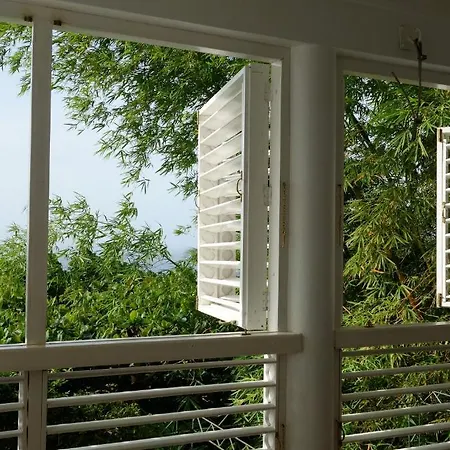 Hotel Mocking Bird Hill-2