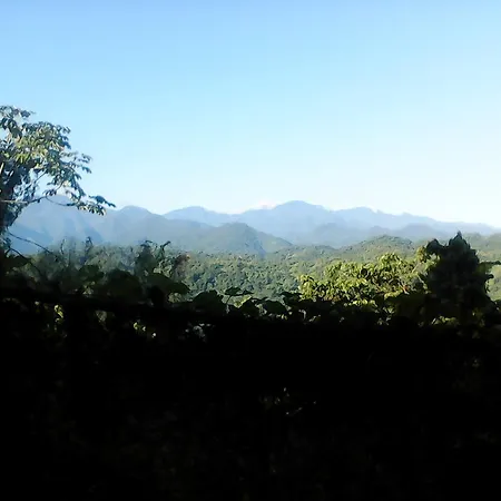 Shotover Gardens Estate-2