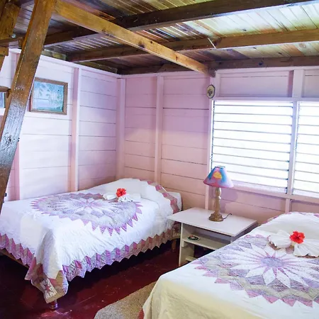 Negril Yoga Centre-2