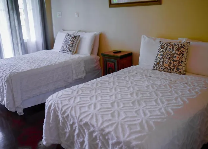 Lucea Cheap Pet friendly Hotels