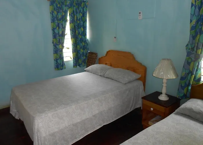 Tropical Vibe Hostel Kingston - Near Half-Way-Tree