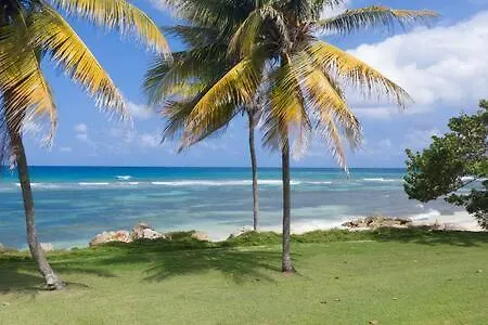 Hospitality Expert Zeppelin - Tour Pool Bar Beach Montego Bay