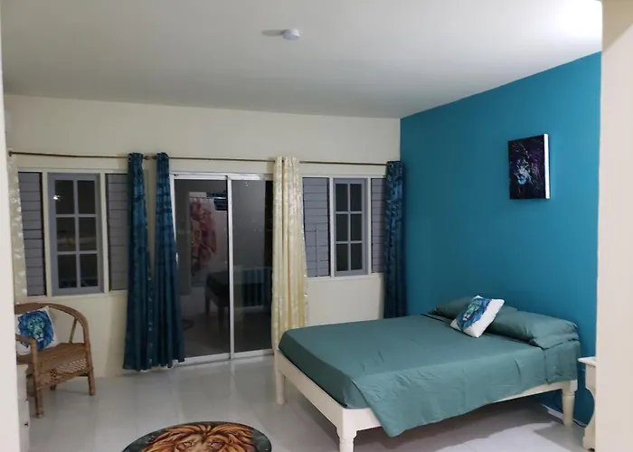 Huisdiervriendelijke hotels in Negril