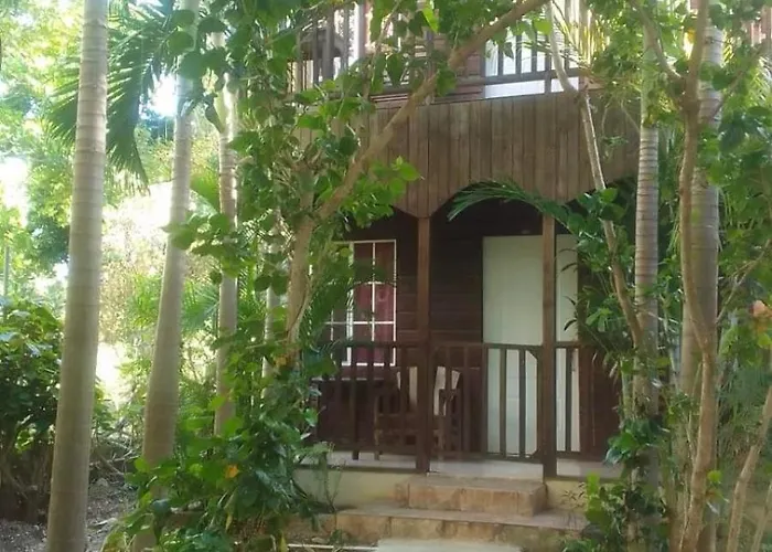 Negril Dog Friendly Lodging and Hotels