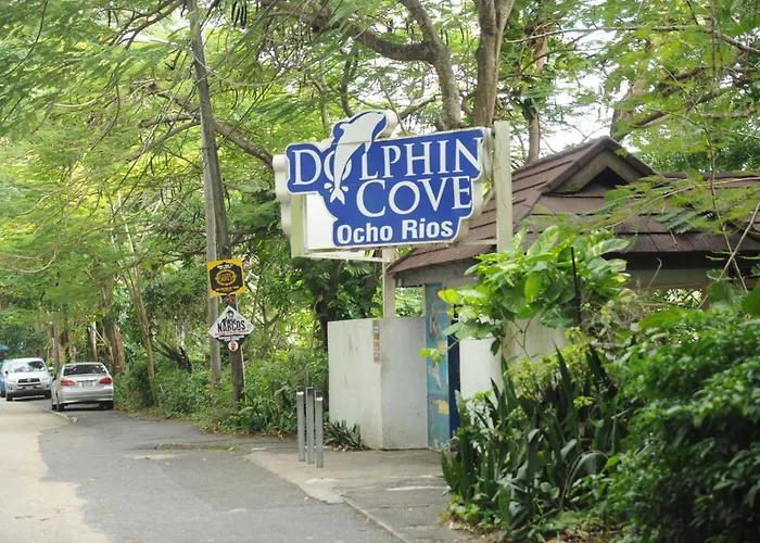 Aileen Palm Cove Ja Ocho Rios