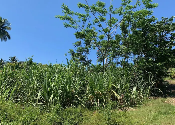 Oracabessa Lodging 