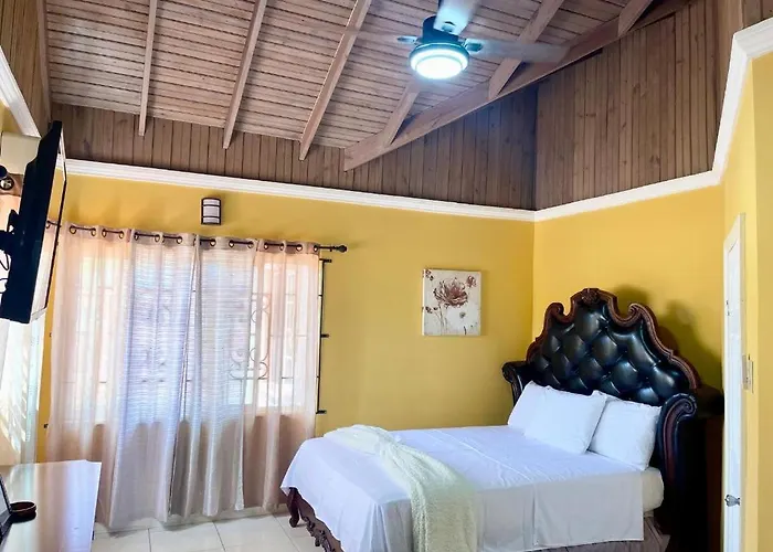 15000 Sq Ft 7 Bedroom House With Pool And Ocean View