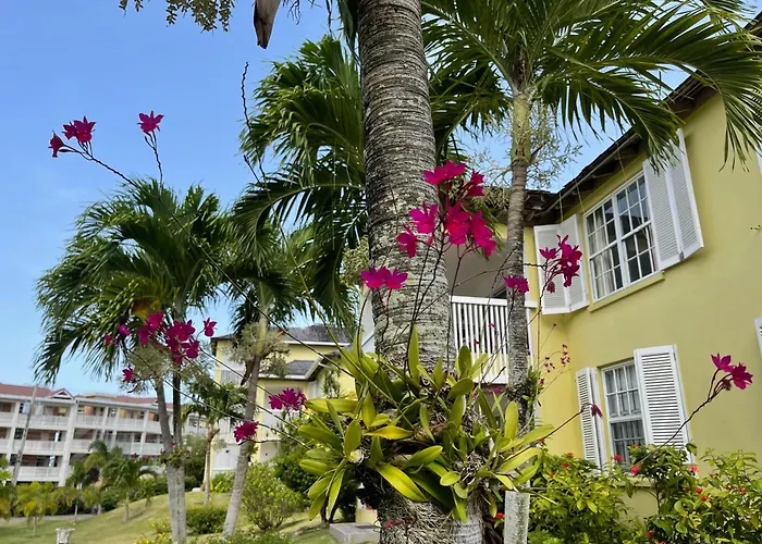 Jamaica Time Driftwood At Sea Palms 3Br 3Ba Condo In Ocho Rios With Pool And Beach Front With Views Only 10 Mins From Ochi Intl Airport Direct Flight From Miami