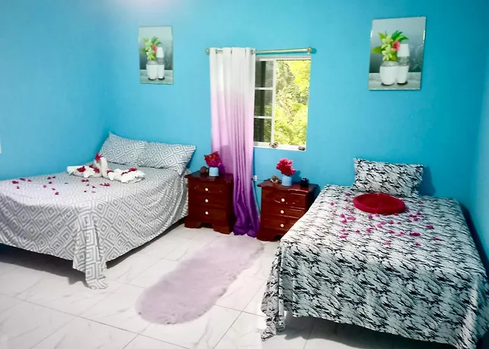 Modern Oasis Near Dunns River Falls