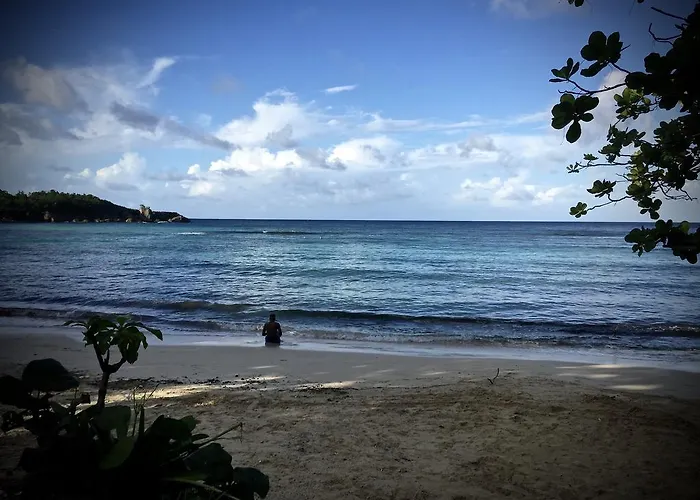 Hotel San San Tropez Port Antonio