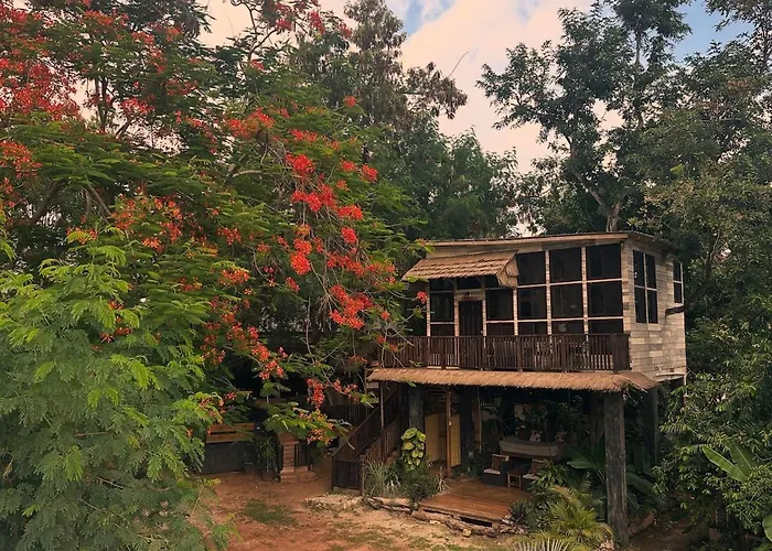 Holiday Cottages in Black River