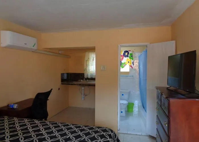 Tropical Vibe Hostel Kingston - Near Half-Way-Tree