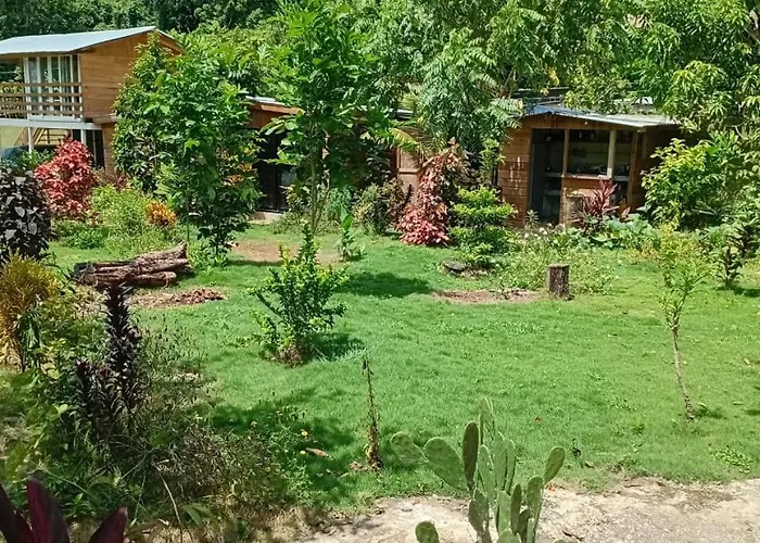 Jack Fruit House