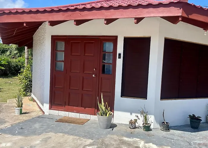 Luxury Oasis Villa