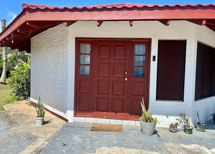 Luxury Oasis Villa