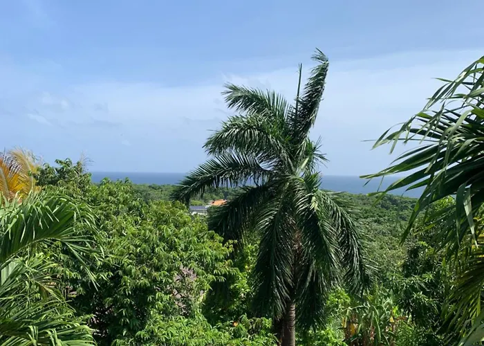 Ackee Tree Rustic Cottage
