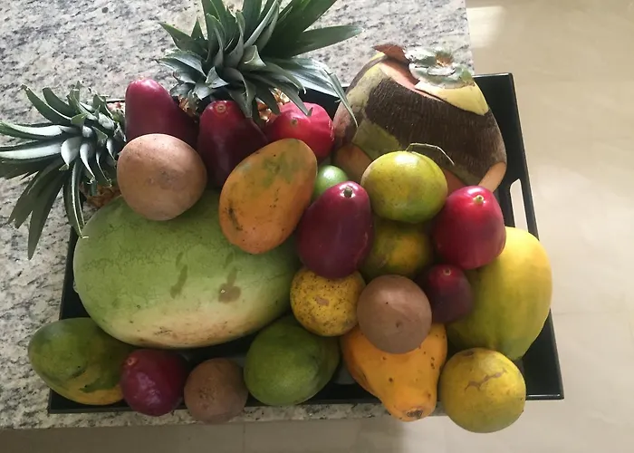 Villas in Ocho Rios near Dunn's River Falls and Park