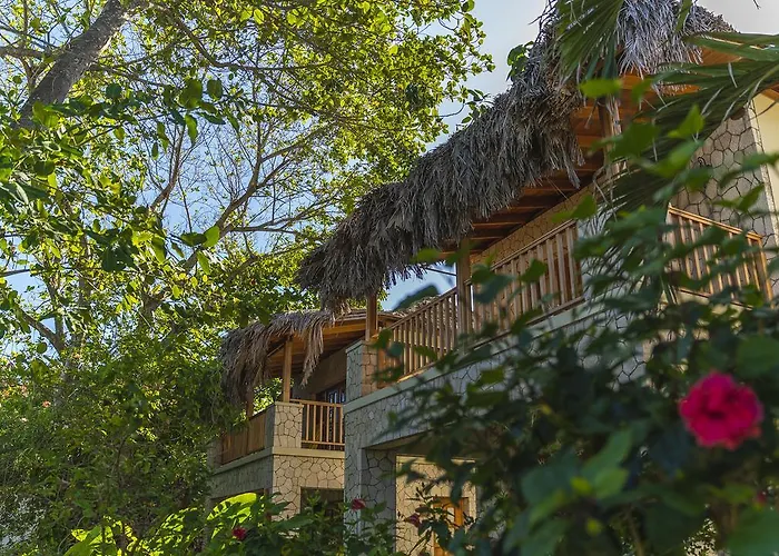 Cabin Rentals in Negril near Barney's Flower & Hummingbird Garden Jamaica