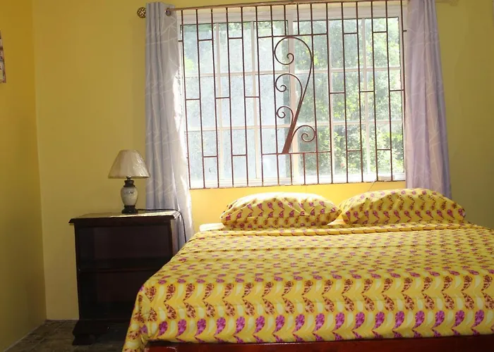 Ocho Rios Pet Friendly Lodging and Hotels near Wata Land park